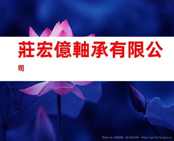 莊宏億軸承有限公司
